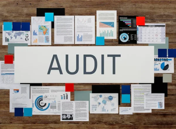 audit